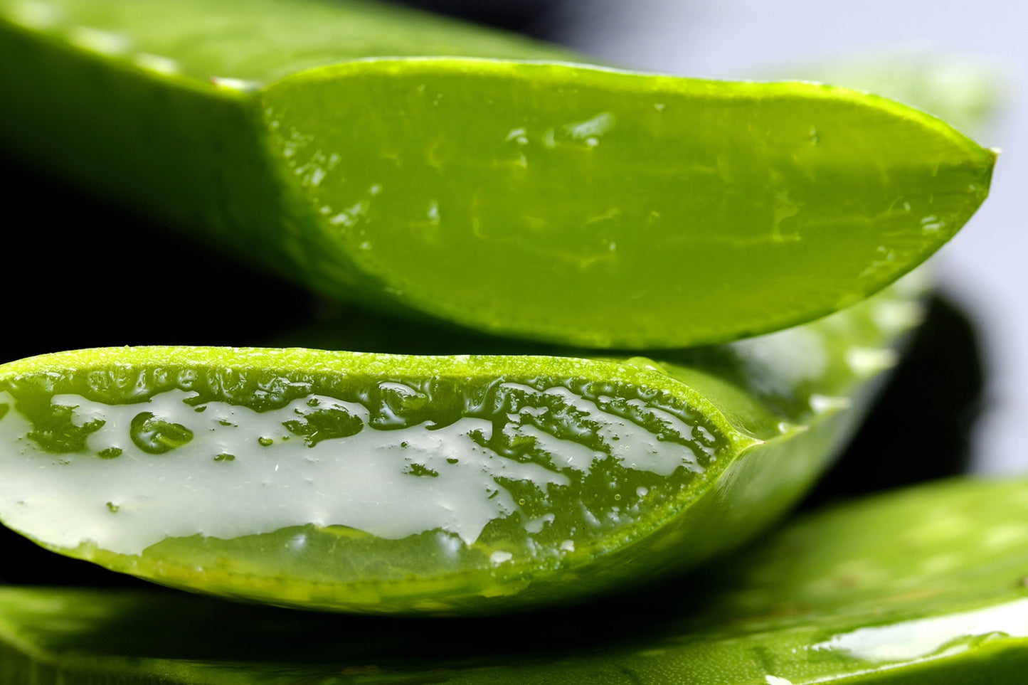 The Transformative Power of Aloe Vera: Nature's Luxury for Radiant Skin