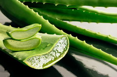 ALOE VERA LEAF JUICE