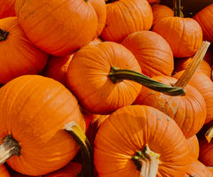 PUMPKIN ENZYMES