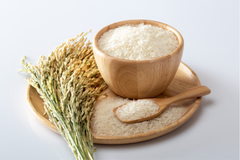 RICE PROTEIN
